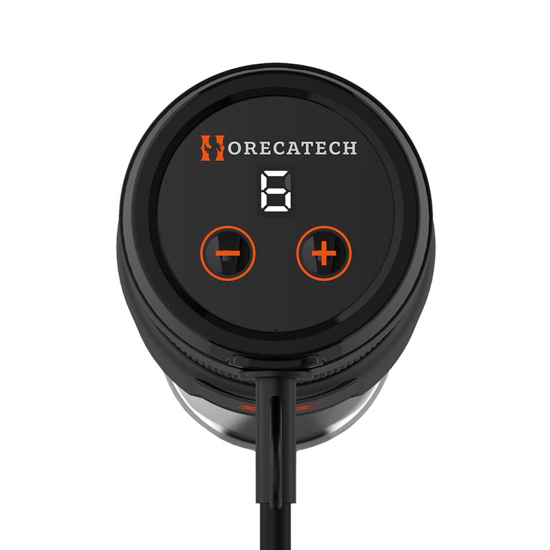 Mixer a immersione 300W